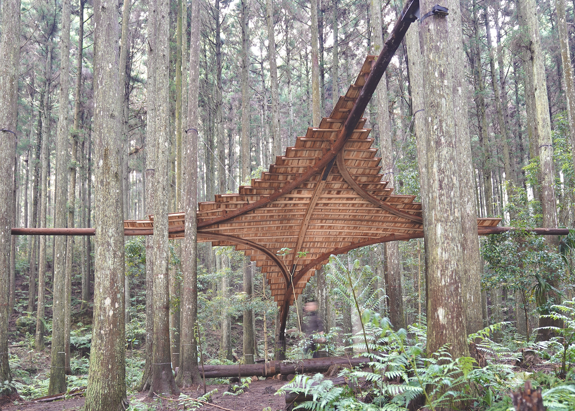 一位自然建築實踐者，獨身住進海拔1,200公尺的林場裏150日，身體力行與森林為伍，從設計到施作，師法自然、親力構築。從杉樹製材到《 習森 》，身體力行與森林為伍，親手打造一座森林風雨教室、一座用雙手思考的自然建築。