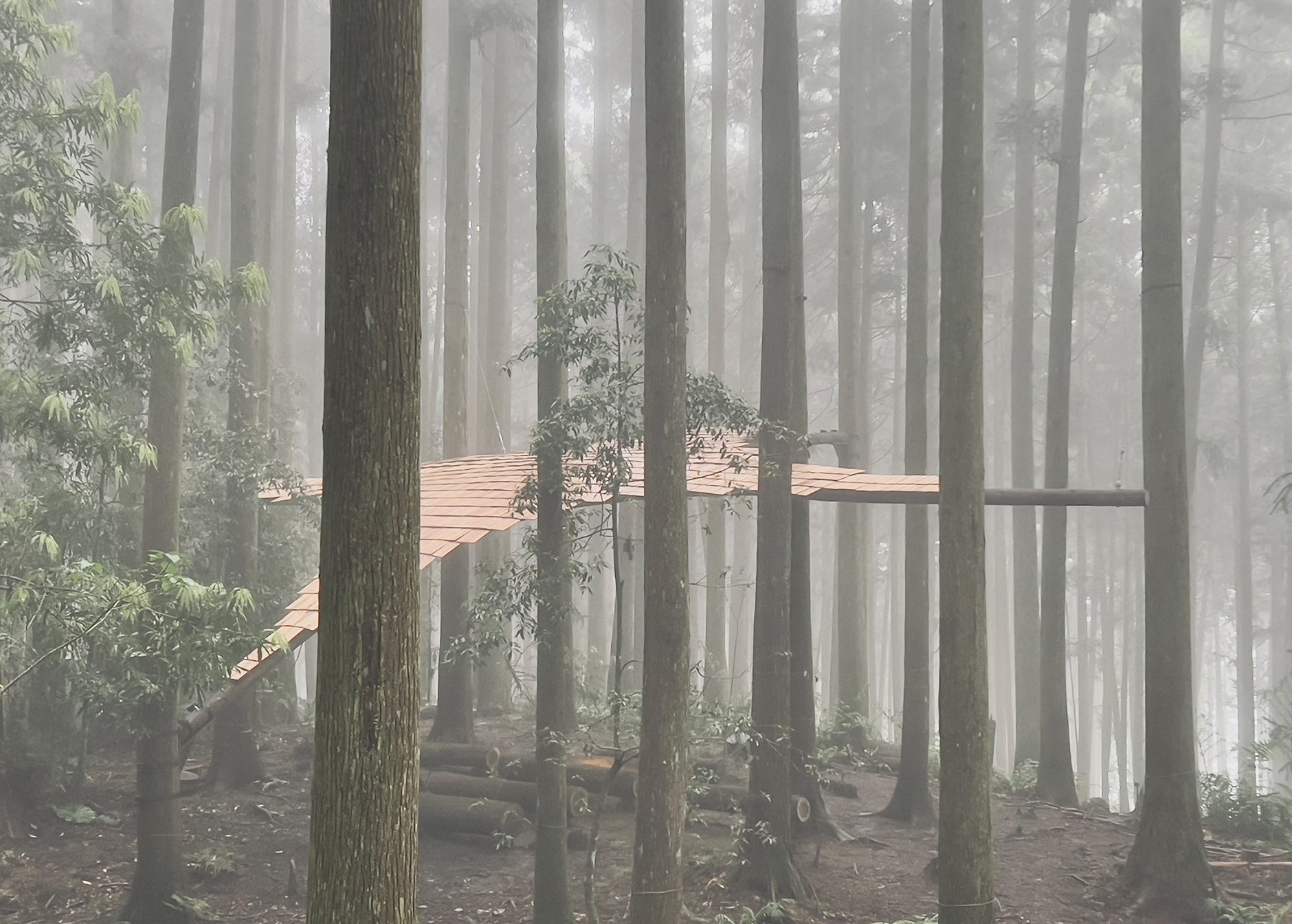 整座木構雨棚由東西向拱起樑脊，撐起柳杉木基段、樹梢製成的木瓦架構，正面起揚迎向東陽日出，背向下傾使雨水順勢滑落，也讓午後山風西陽吹曬木瓦；而南北向兩末端以鋼索構件制衡、穩定整體木拱支撐系統。  建築過程貫徹友善工法，最低程度介入共築於林，構築全程無使用任何氣槍釘子，取而代之以螺絲、螺栓、綑綁器固定，讓木單元構件皆能100%調整拆卸，實木未來亦可回歸大地的良善循環。