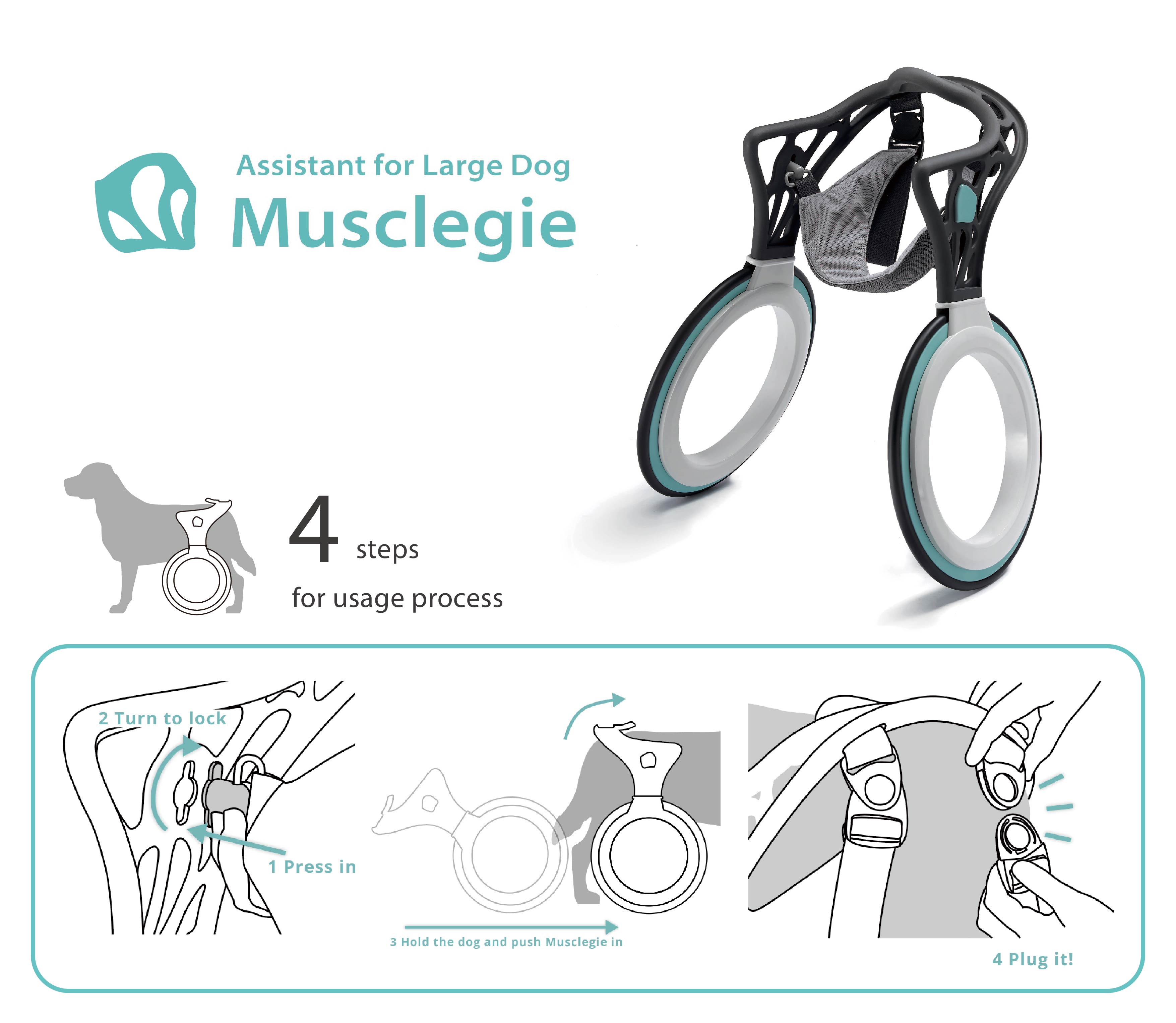 《Musclegie》以大型犬的角度出發，改變寵物輔具的型態，並且透過更流暢的使用方式，重新定義使用體驗。