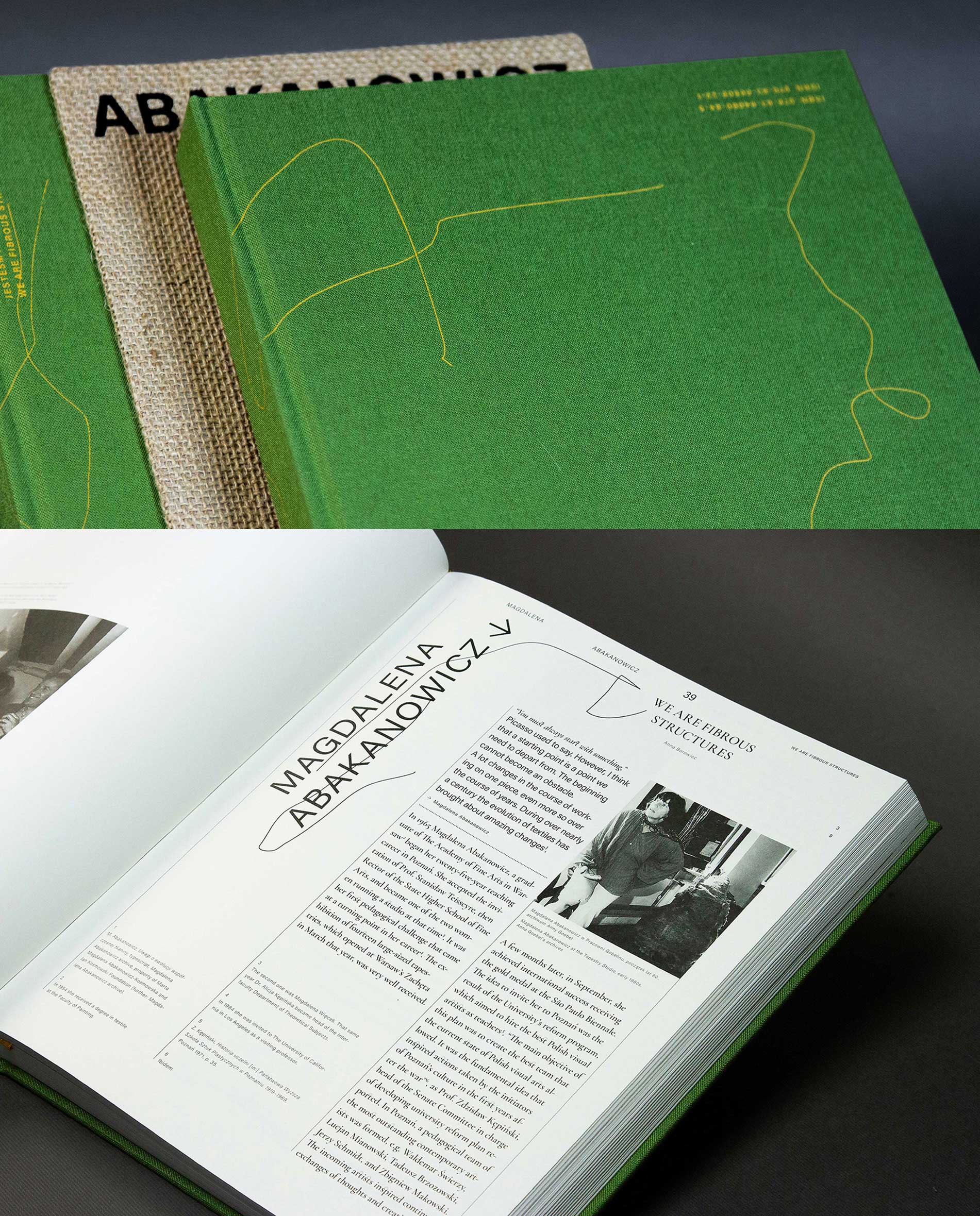 在這項計畫中,我們可以注意到纖維狀結構的圖像呈現形式。